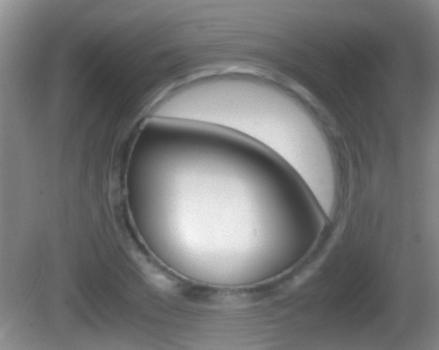 X0000083010977200702020911
