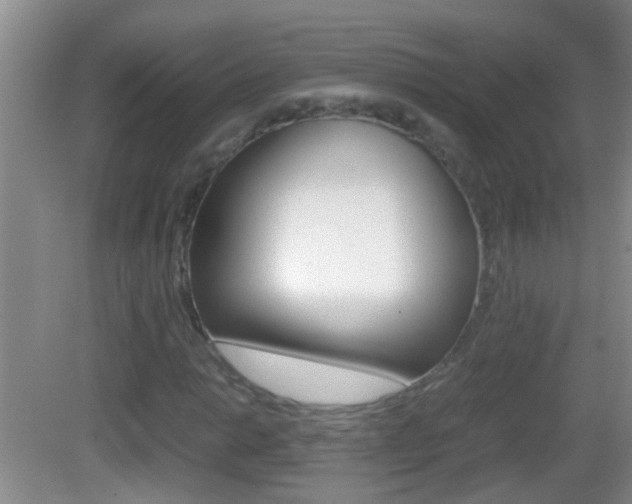 X0000083011014200702020910