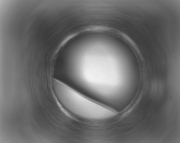 X0000083011041200702020910