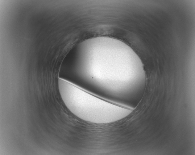 X0000083011058200702020909