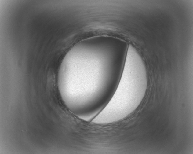 X0000083011061200702020909