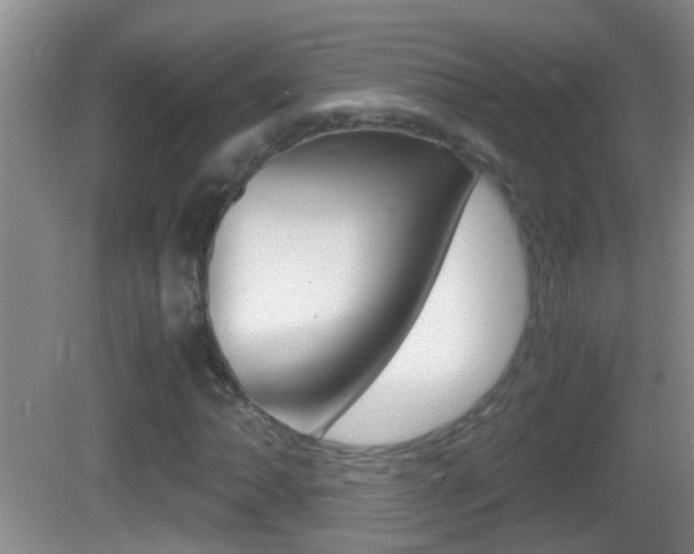 X0000083011062200702020909