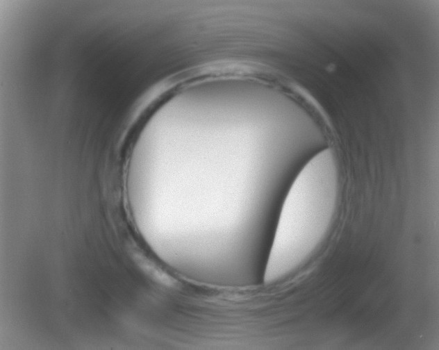 X0000083011075200702020909