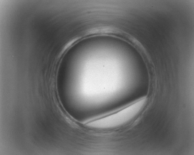 X0000083011081200702020909