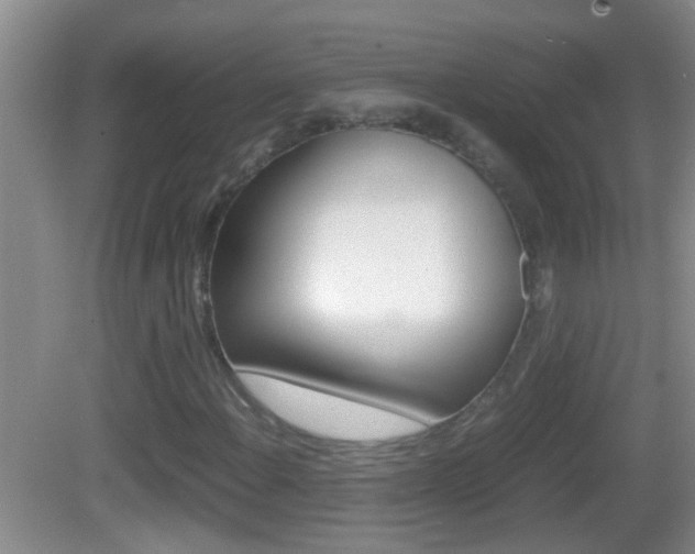 X0000083011108200702020908