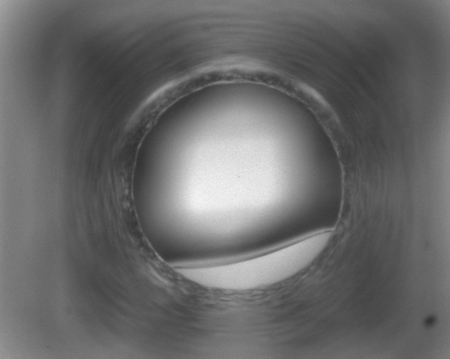 X0000083011112200702020908