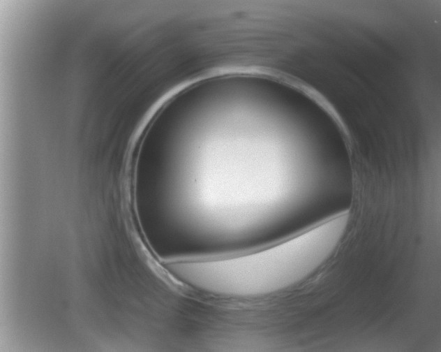 X0000083011148200702020909