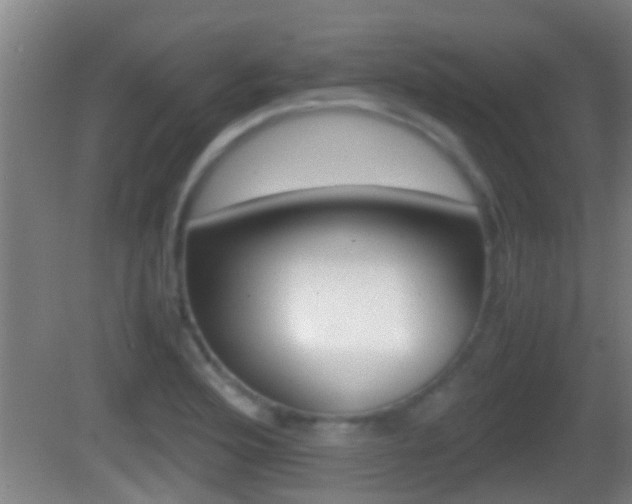 X0000083011176200702020907
