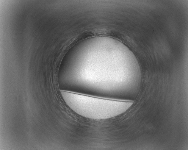 X0000083011201200702020906