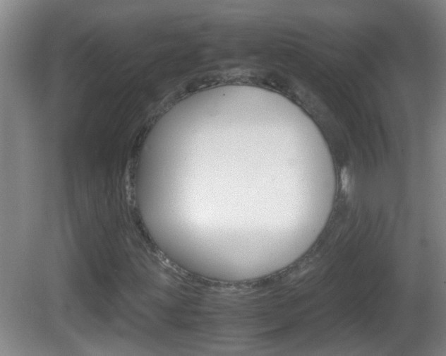 X0000083011203200702020906