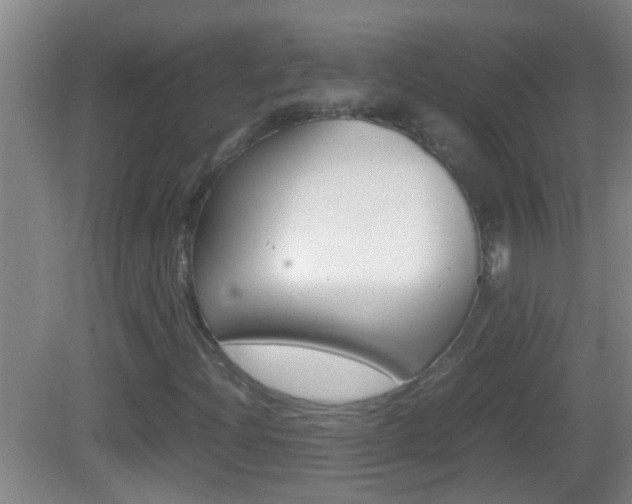 X0000083011204200702020906