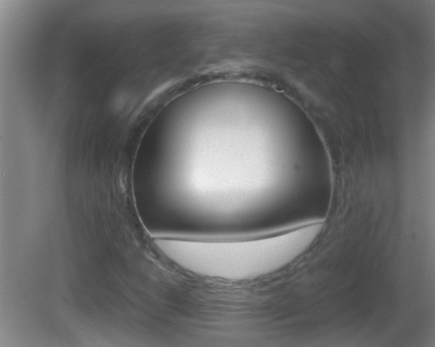 X0000083011206200702020906