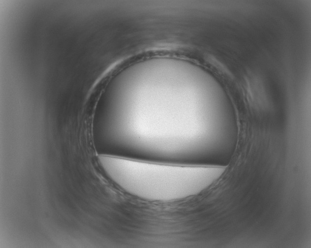 X0000083011208200702020906