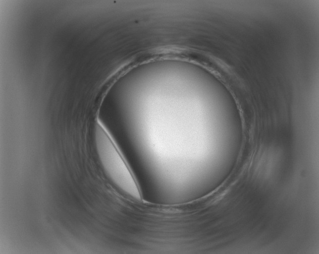 X0000083011209200702020906