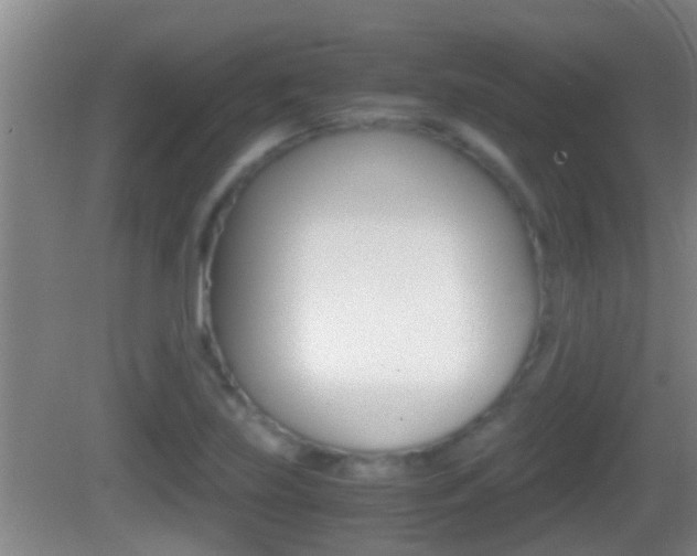 X0000083011219200702020907