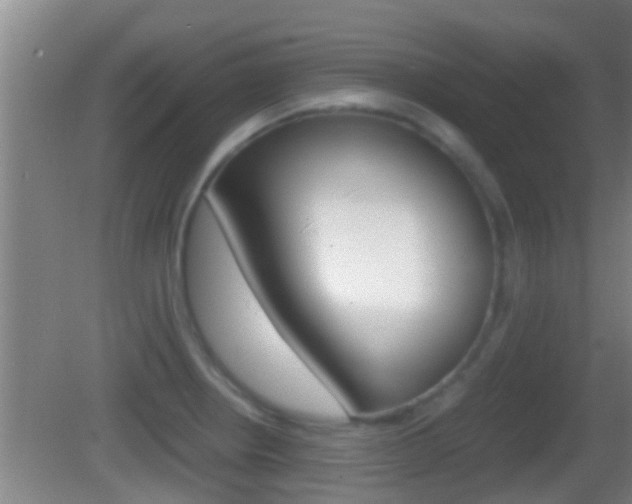 X0000083011234200702020907