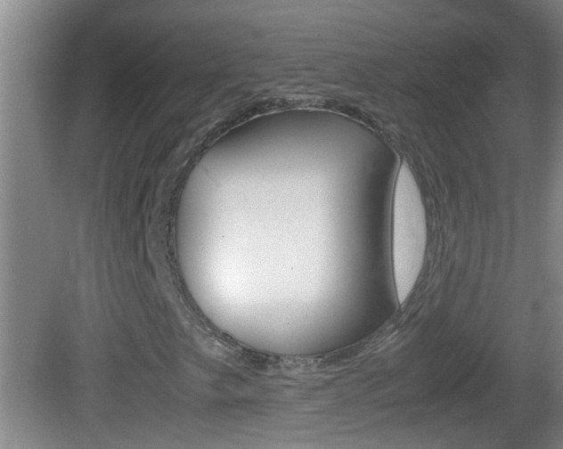 X0000083011249200702020906