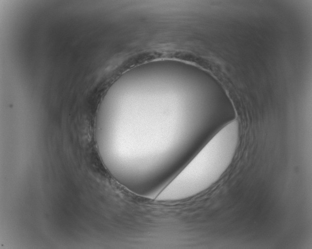 X0000083011253200702020906