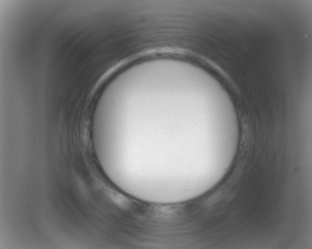 X0000083011266200702020906