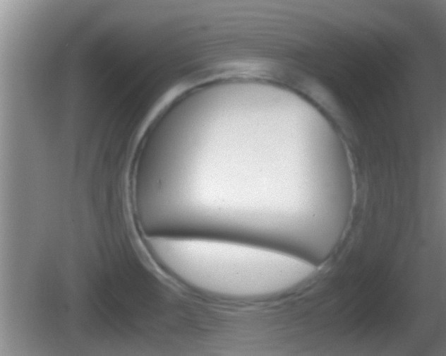 X0000083011283200702020906