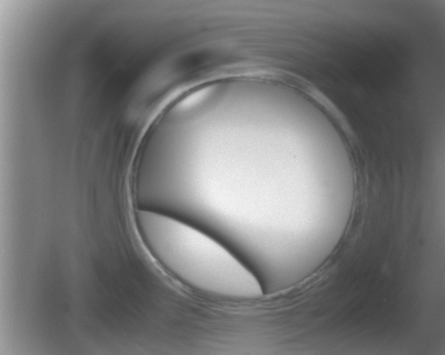X0000083011291200702020906