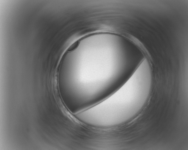 X0000083011292200702020906