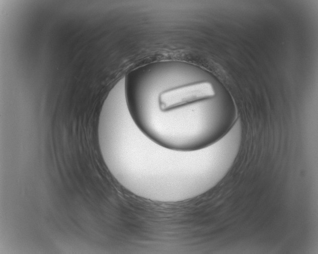 X0000083011298200702020905