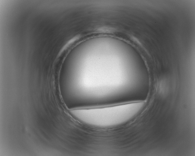 X0000083011307200702020905