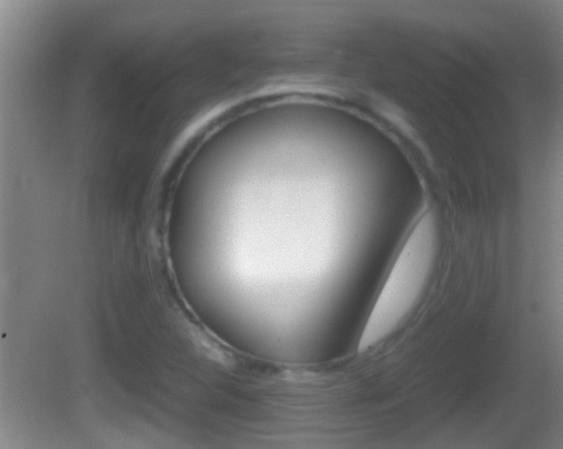 X0000083011312200702020905