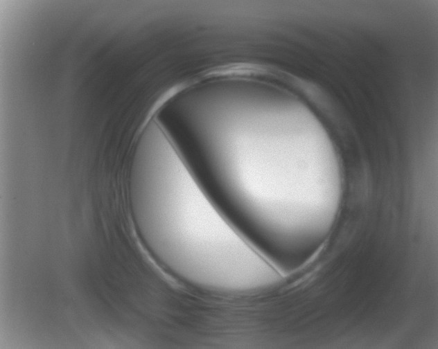 X0000083011329200702020905