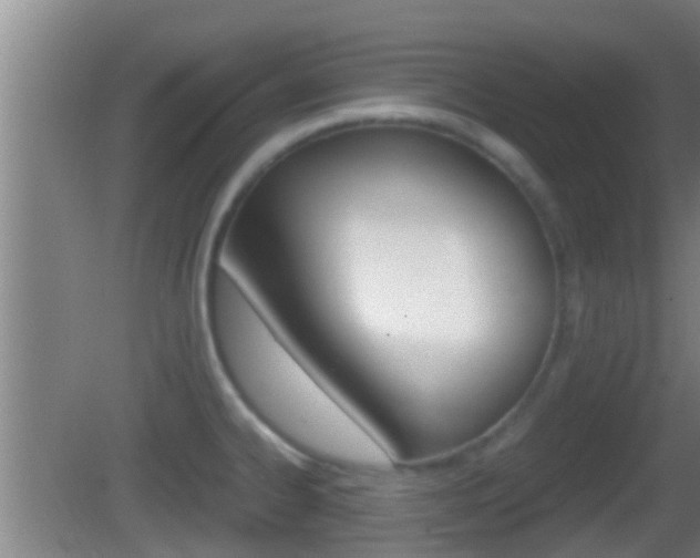 X0000083011334200702020905