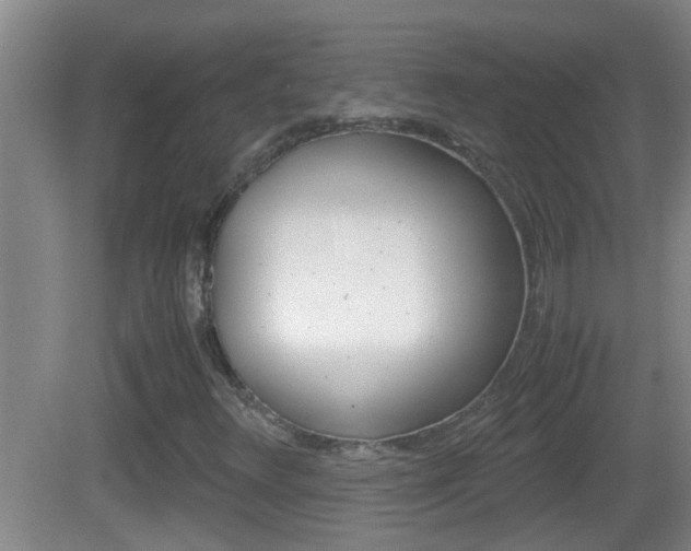 X0000083011348200702020905