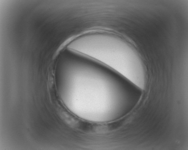 X0000083011363200702020904