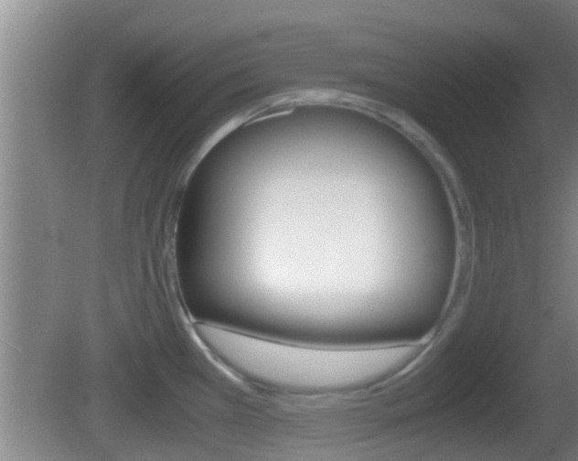 X0000083011385200702020904