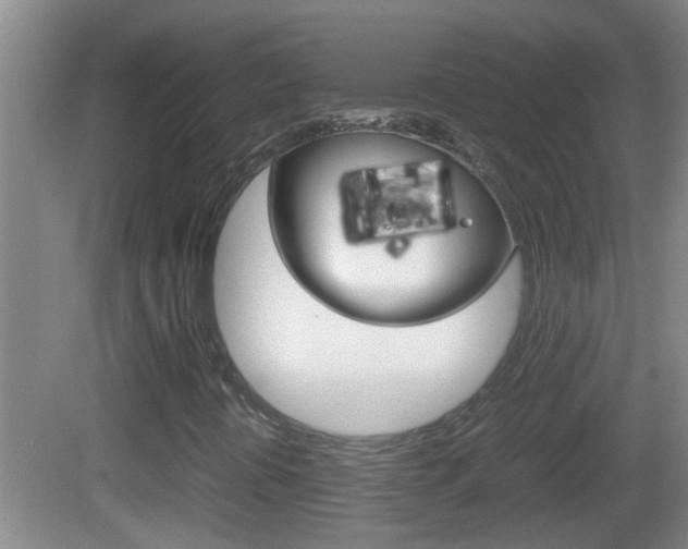 X0000083011394200702020903