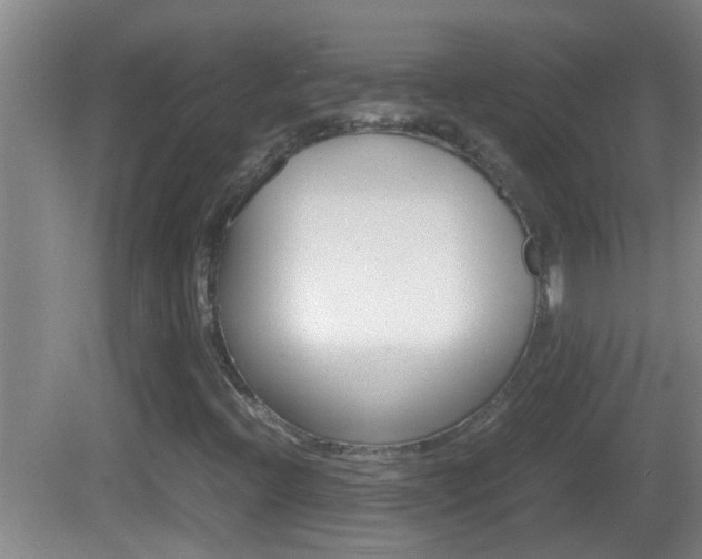 X0000083011396200702020903