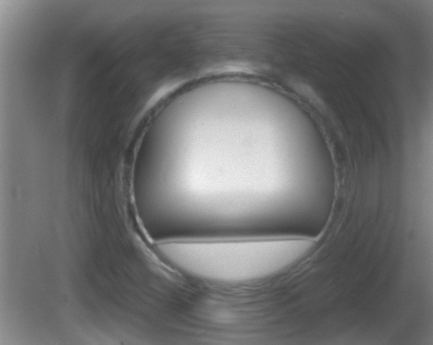 X0000083011404200702020903