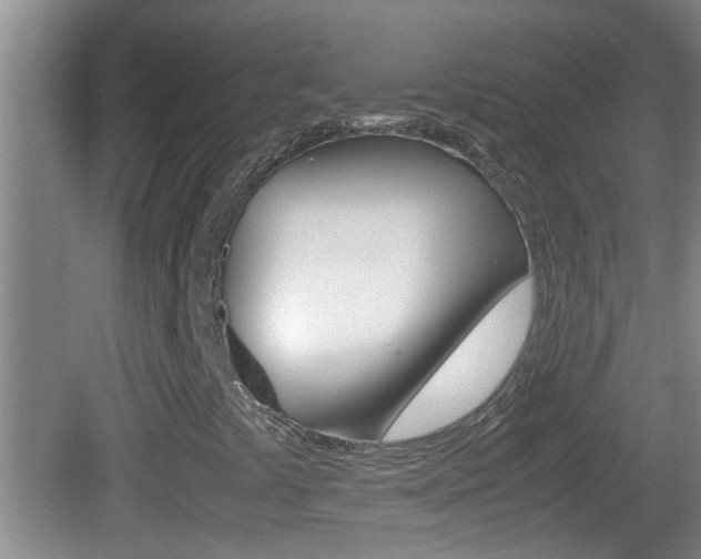 X0000083011441200702020903