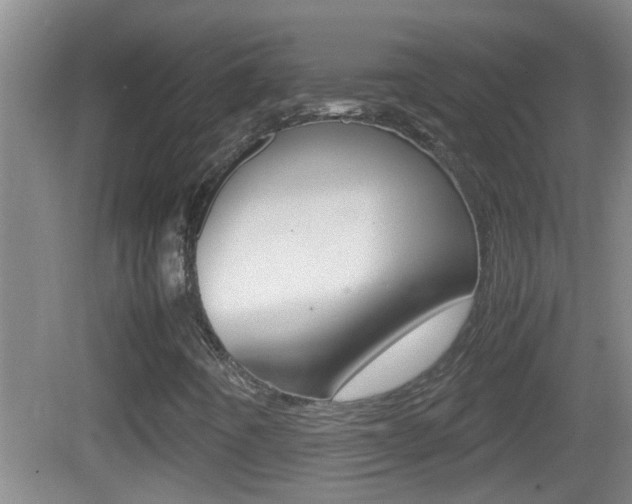 X0000083011442200702020903