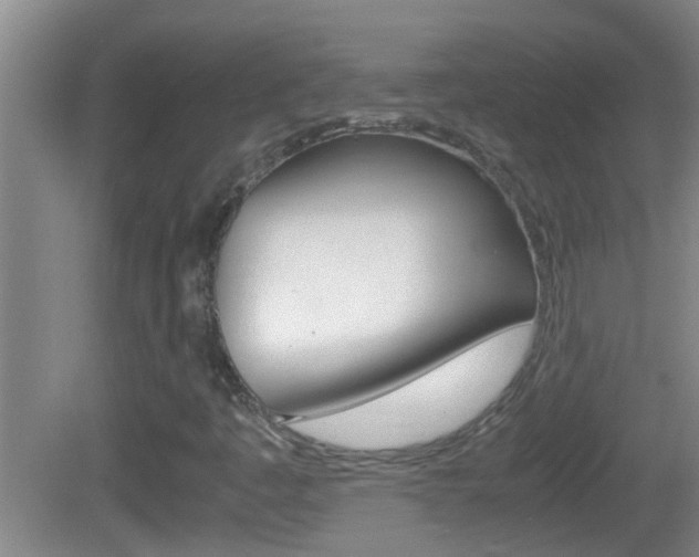 X0000083011445200702020903