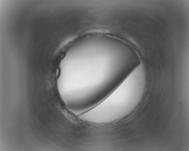 X0000083011448200702020903