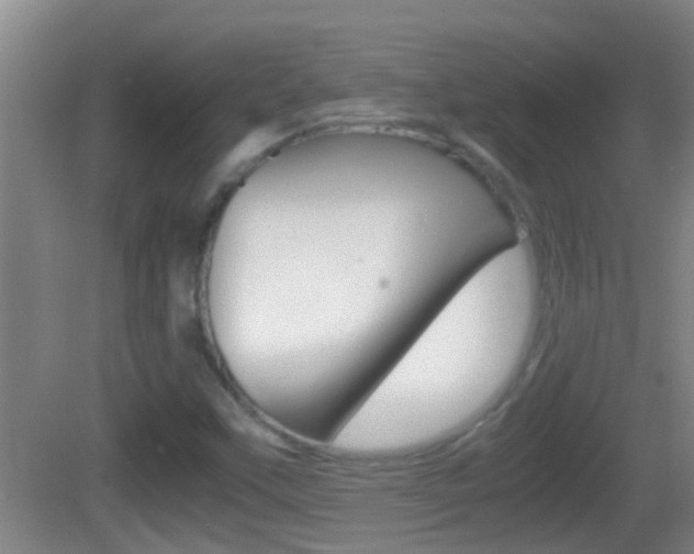 X0000083011451200702020903