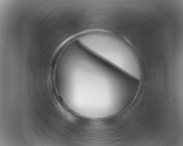 X0000083011452200702020903