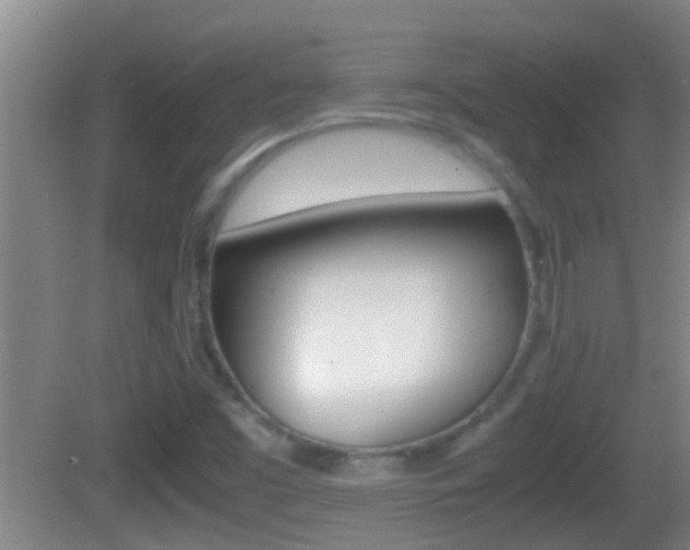 X0000083011453200702020903