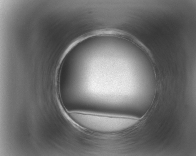 X0000083011483200702020902