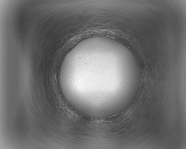 X0000083011489200702020901
