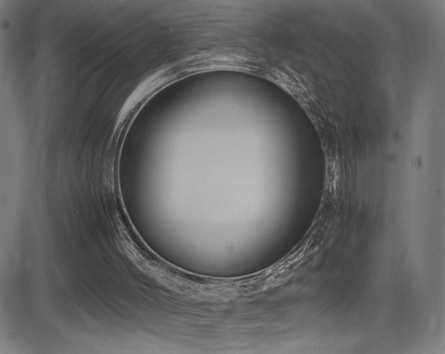 X0000083010004200702021101