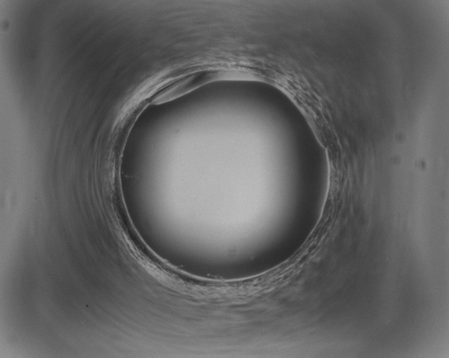 X0000083010005200702021101