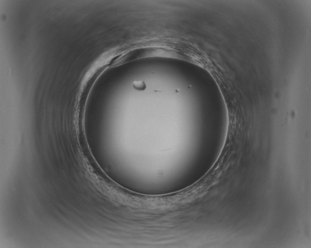 X0000083010006200702021101