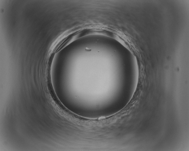 X0000083010007200702021101